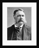 President Chester A. Arthur by Anonymous