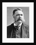 President Chester A. Arthur by Anonymous