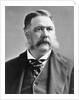 President Chester A. Arthur by Anonymous