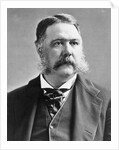 President Chester A. Arthur by Anonymous