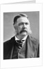 President Chester A. Arthur by Anonymous