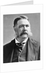 President Chester A. Arthur by Anonymous