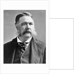 President Chester A. Arthur by Anonymous