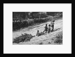 Children Bringing Home a Christmas Tree by Anonymous