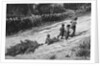 Children Bringing Home a Christmas Tree by Anonymous