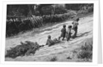 Children Bringing Home a Christmas Tree by Anonymous