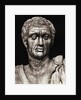 Statue of Pompeius Magnus by Anonymous
