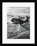 Fishermen Harpooning Sperm Whale by Anonymous