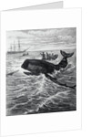 Fishermen Harpooning Sperm Whale by Anonymous