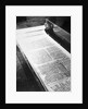 Dead Sea Scrolls on Display by Anonymous