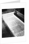 Dead Sea Scrolls on Display by Anonymous