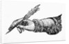 Hand In Writing Position by Anonymous