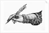 Hand In Writing Position by Anonymous