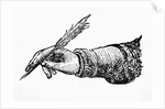 Hand In Writing Position by Anonymous