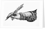 Hand In Writing Position by Anonymous
