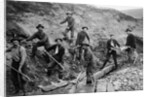 Men Searching for Gold on Mountain by Anonymous
