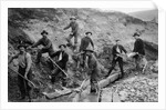Men Searching for Gold on Mountain by Anonymous