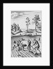 Engraving of Strip Farming by Wenceslaus Hollar