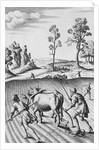 Engraving of Strip Farming by Wenceslaus Hollar