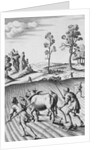 Engraving of Strip Farming by Wenceslaus Hollar