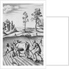 Engraving of Strip Farming by Wenceslaus Hollar