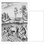 Engraving of Strip Farming by Wenceslaus Hollar