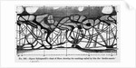 Artistic Illustration of Replicated Idea of the Planet Mars by Anonymous