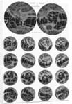 Illustrated Collection of the Planet Mars by Anonymous