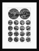 Illustrated Collection of the Planet Mars by Anonymous