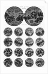 Illustrated Collection of the Planet Mars by Anonymous