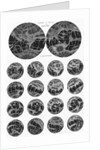 Illustrated Collection of the Planet Mars by Anonymous