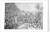 Entrance of Cortez into Mexico Lithograph by Anonymous