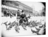 Woman Feeding Pigeons by Anonymous