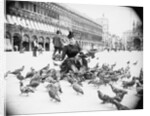 Woman Feeding Pigeons by Anonymous