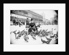 Woman Feeding Pigeons by Anonymous