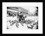 Woman Feeding Pigeons by Anonymous