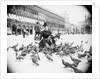 Woman Feeding Pigeons by Anonymous