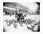 Woman Feeding Pigeons by Anonymous