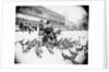 Woman Feeding Pigeons by Anonymous