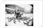 Woman Feeding Pigeons by Anonymous