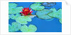 Lily Pads and Flower Blossom by Anonymous