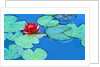 Lily Pads and Flower Blossom by Anonymous
