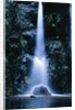 Waterfall in Pfeiffer Big Sur State Park, California by Anonymous