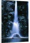 Waterfall in Pfeiffer Big Sur State Park, California by Anonymous