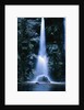 Waterfall in Pfeiffer Big Sur State Park, California by Anonymous
