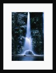 Waterfall in Pfeiffer Big Sur State Park, California by Anonymous