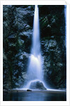 Waterfall in Pfeiffer Big Sur State Park, California by Anonymous