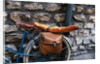 French Bread Strapped to a Bicycle by Anonymous
