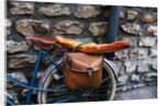 French Bread Strapped to a Bicycle by Anonymous
