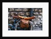 French Bread Strapped to a Bicycle by Anonymous